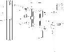 Intralec.webp