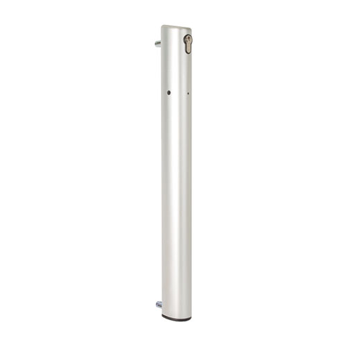 [DB788] Locinox ELECTRADROP Motorised Electrical Drop Bolt : Silver